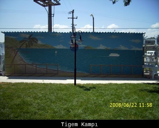Tigem Kampı - Duvar Resmi
